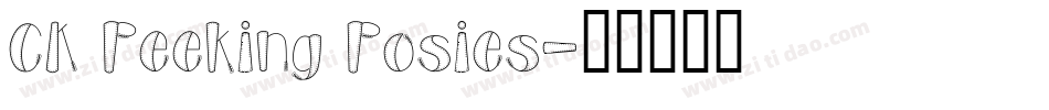 CK Peeking Posies字体转换